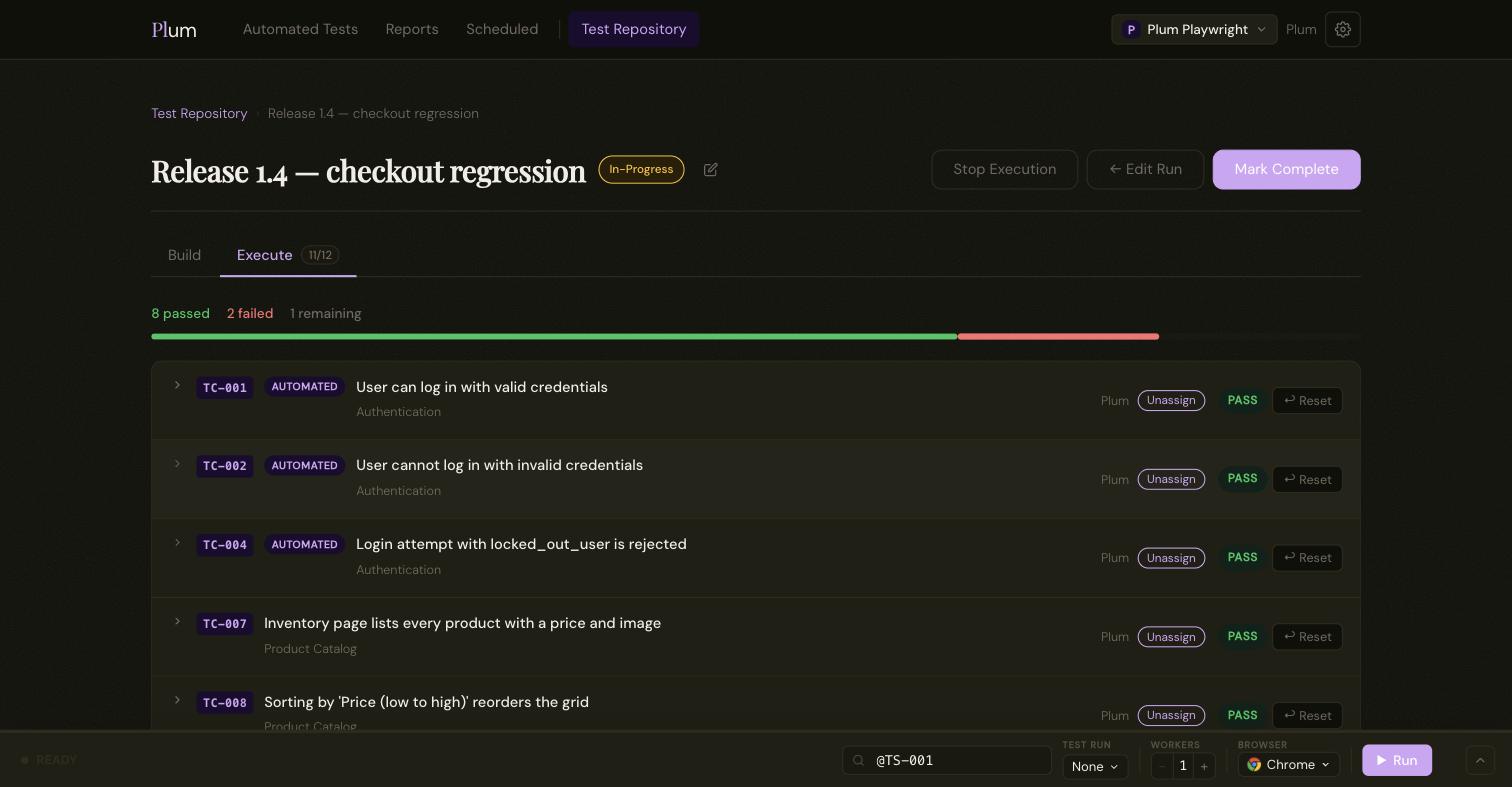 Plum test run execute view with a pass / fail progress bar and per-case status